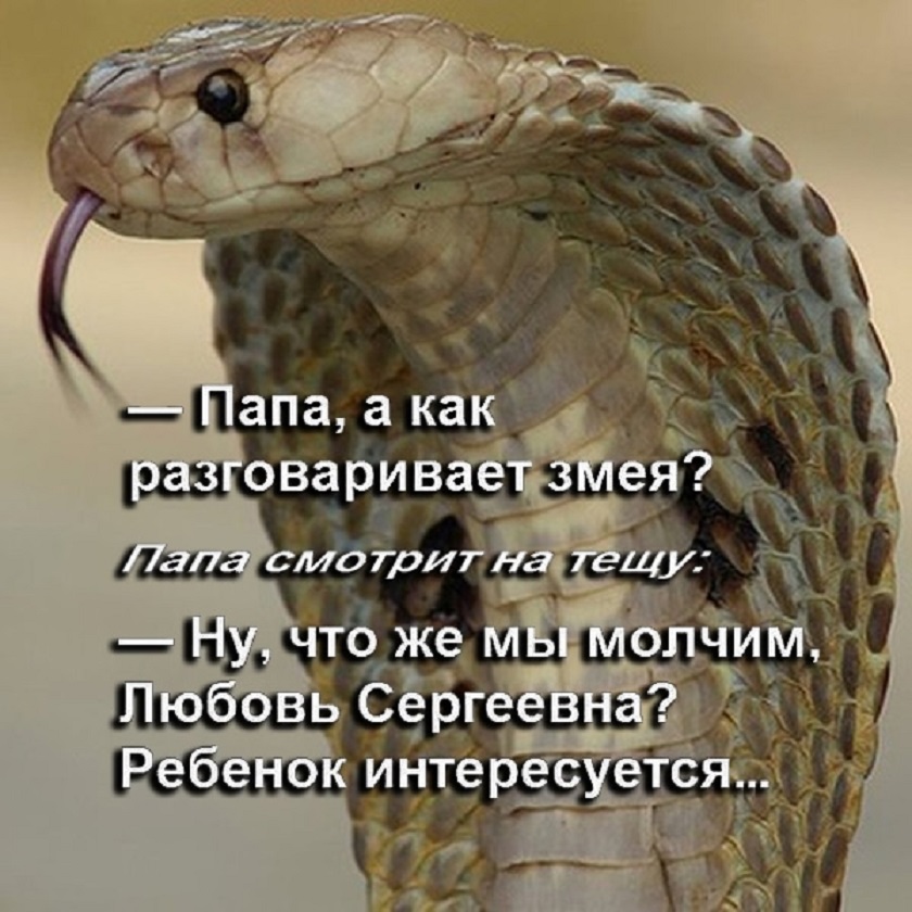 20258344.jpg