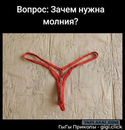 Веселые картинки в маленькую пятницу (12.11)