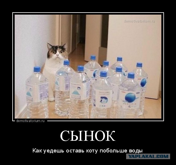 Кого завести?