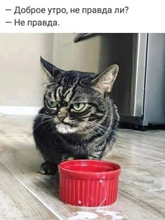 Четверговые картинки