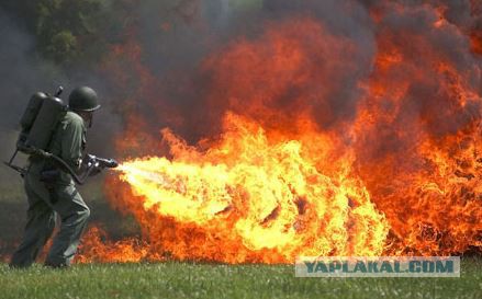 Вернулся как-то хозяин дома после долгого