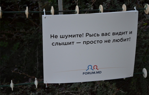 Позитив из зоопарка