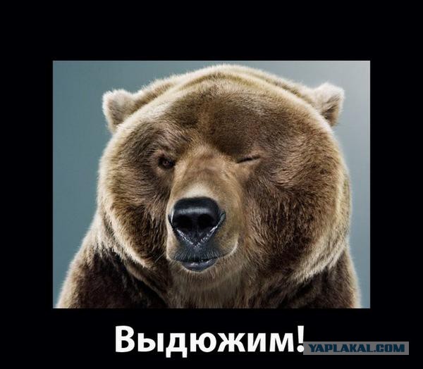 Санкционный бумеранг