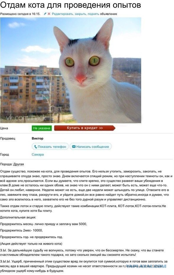 Хочу выкинуть кота