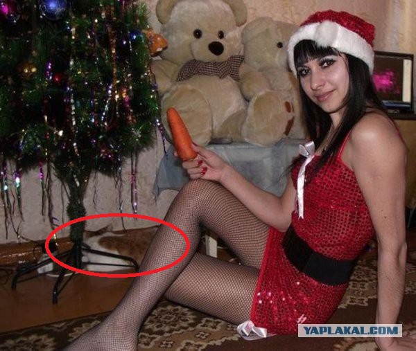 Как встретили 2015....