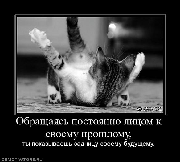 Вы хотите "демов"?