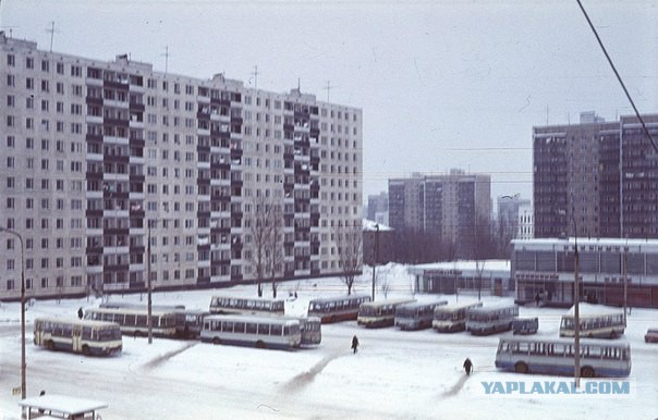 Бирюлево, Москва