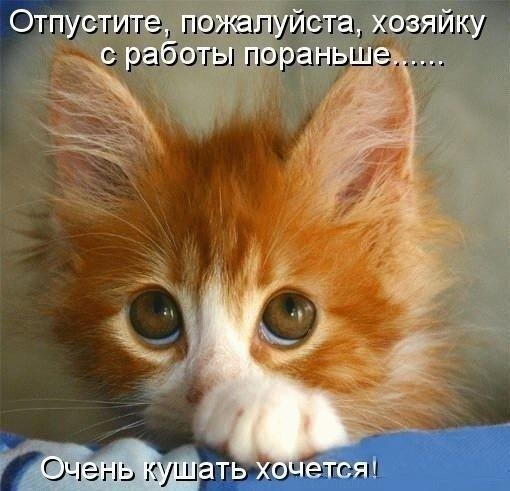 Всяко - разно...картинки