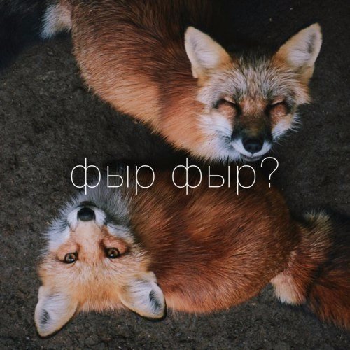 Отовсюду понемногу