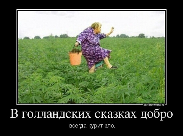 Злые шутки или минутка сарказма на ЯП-е, 16+