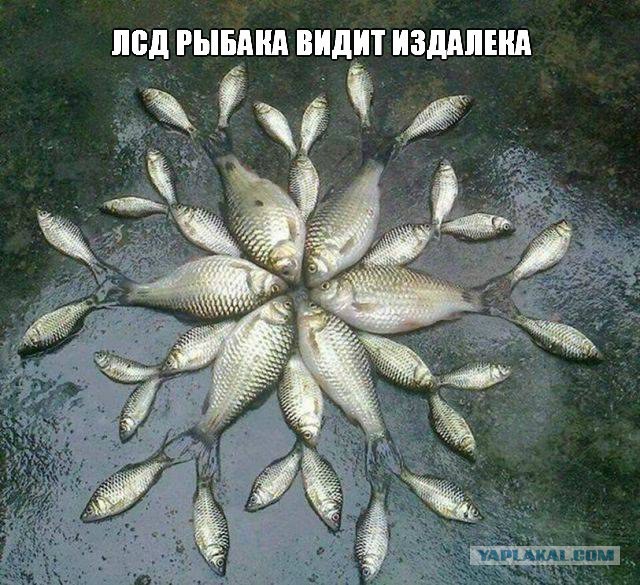 Абсурдный юмор ч.20