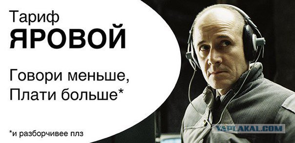 На сайте РОИ начался сбор подписей против «пакета Яровой»