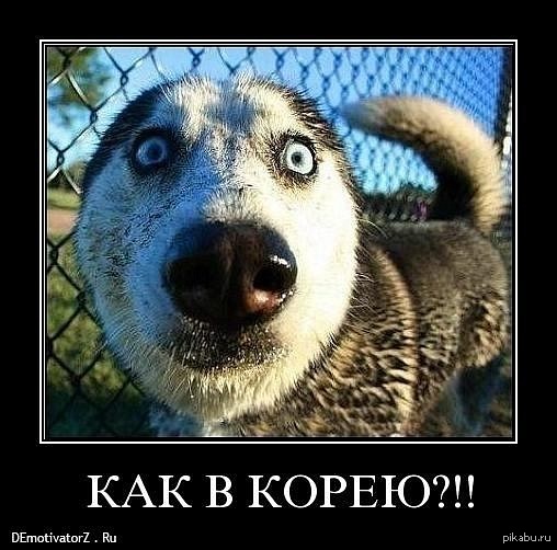 Как ввести веганов в ступор