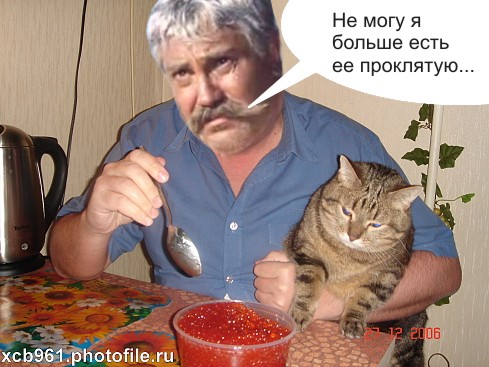 Фотожаба: Правильное питание для кота