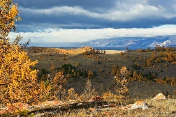 Фото интересные и не только