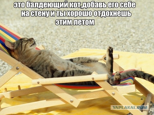 Старые добрые баяны, на случай если кто то стал забывать