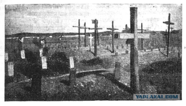 Картинки по запросу Талергоф
