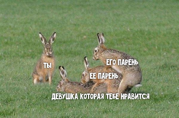 Этот безумный, безумный, безумный мир