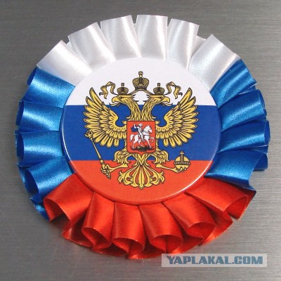 Они плевали на Родину, на День Победы и на отдавших кровь за нашу жизнь!