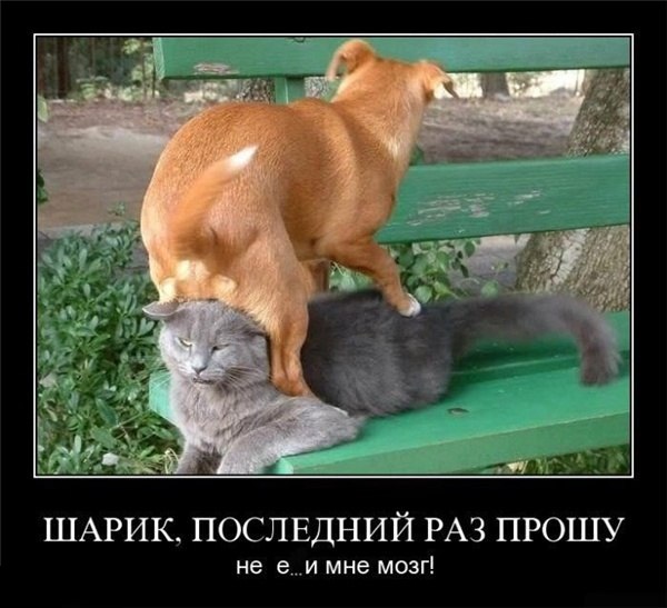 Специфический юмор