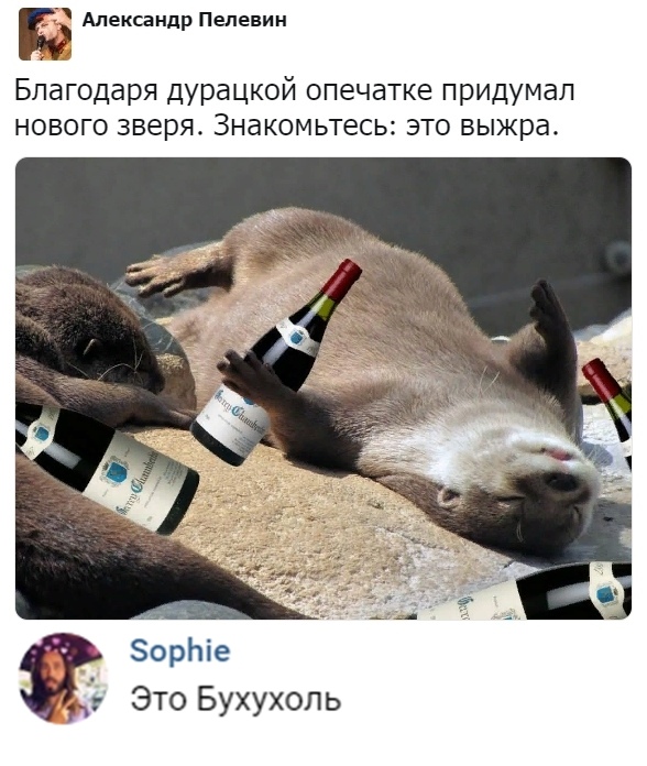 Нестандартный юмор