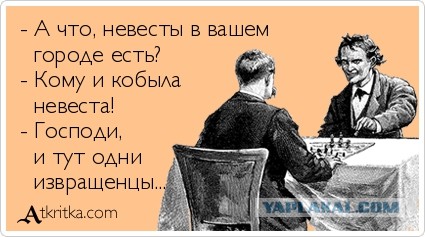 Просто овца
