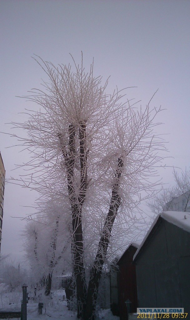 Я и Барнаул.