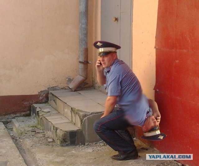 Фотожаба: Неупоротый.