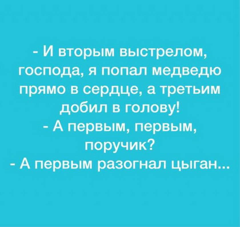 15166444.jpg