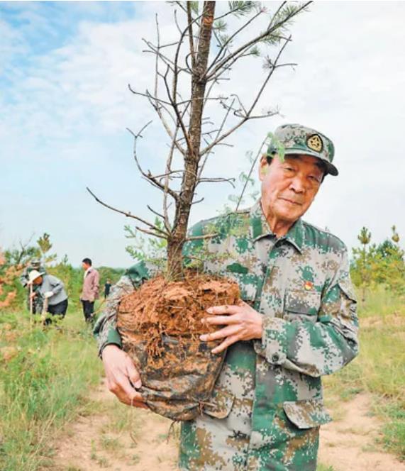 После выхода на пенсию генерал 18 лет занимался выращиванием лесов