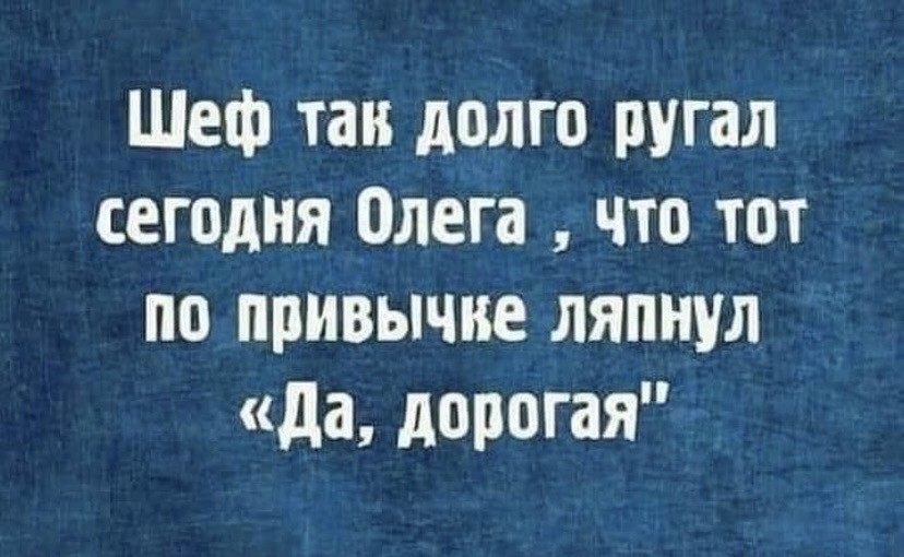 16058444.jpg