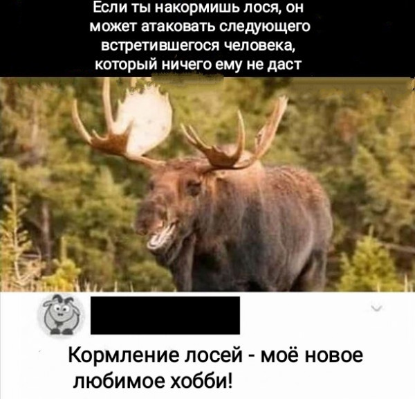 Картинки и мемы для настроения - 133