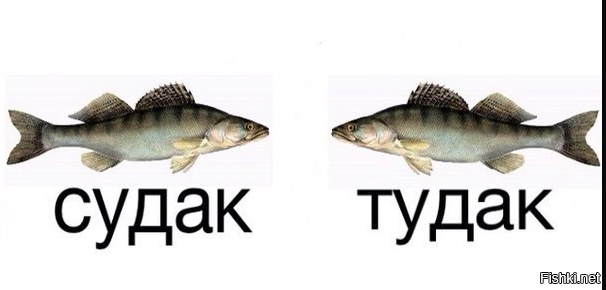 Смотри, Кутузов, не перепутай... vol.2