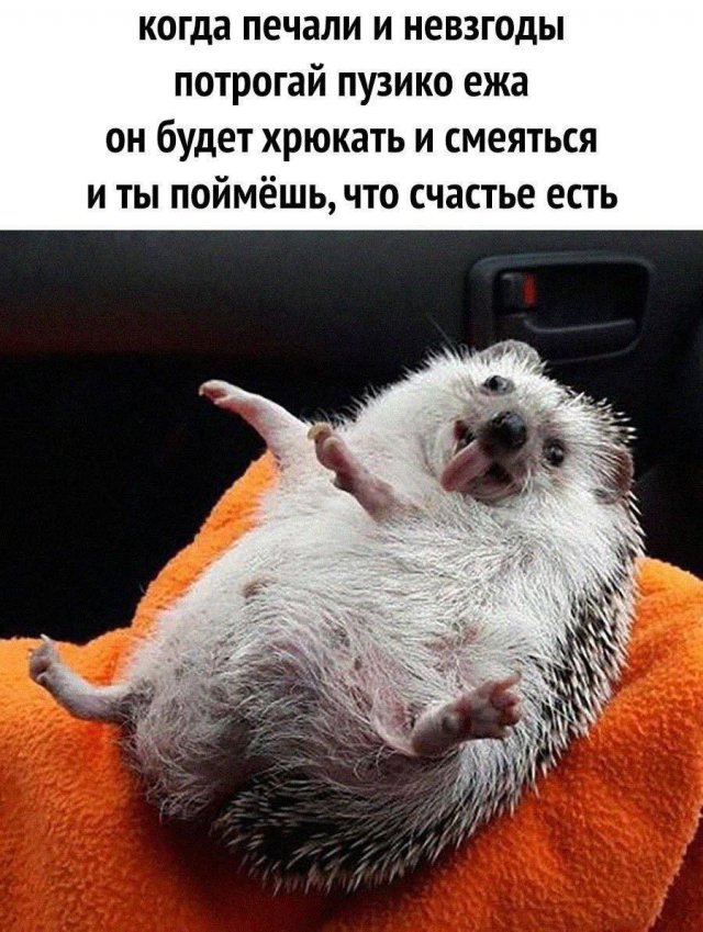 Картинки и мемы, всяко разно - 181