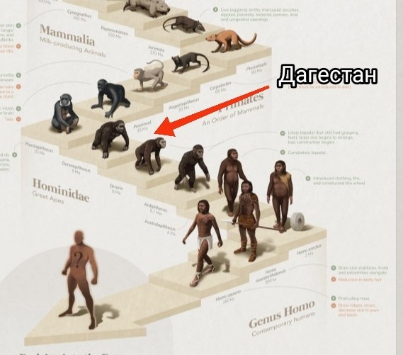 От первых клеток к Homo sapiens: посмотрите на 4 миллиарда лет эволюции в одной картинке