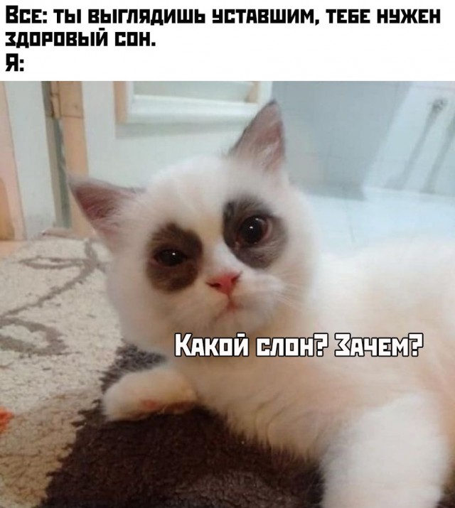 Прикольные и просто красивые картинки 01.11.2024