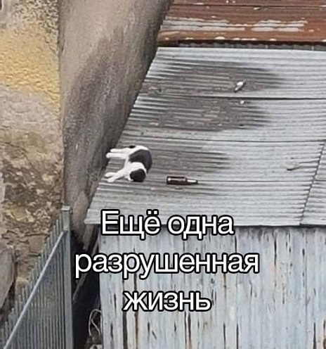 Расскажи мне про море