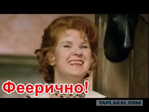 От тигра - с подливой!