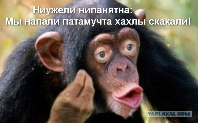 Про патриотов