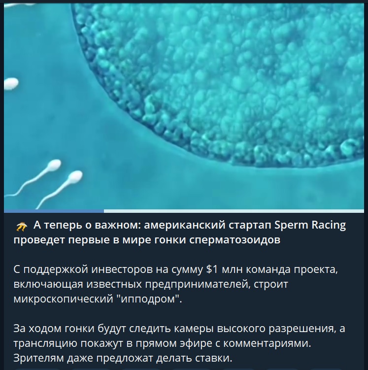 https://s00.yaplakal.com/pics/pics_original/4/4/4/20001444.jpg