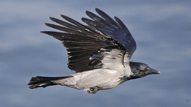 25 самых популярных суеверий со всего света