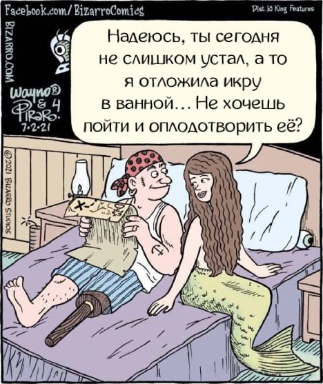 Чёрно-пошлая деградация