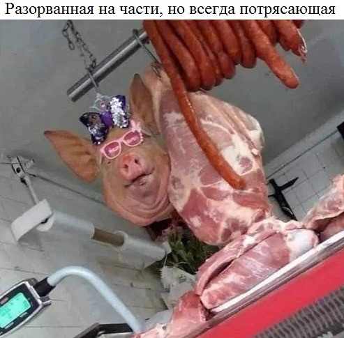 Веселое настроение в картинках (27.04.2026)