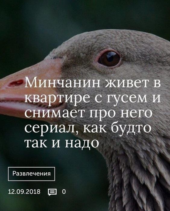 Картинки для деградации 220 (разной степени свежести)