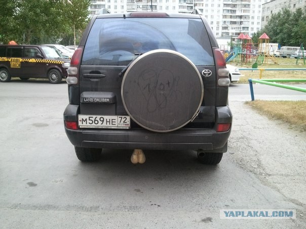 Мой Нижневартовск!