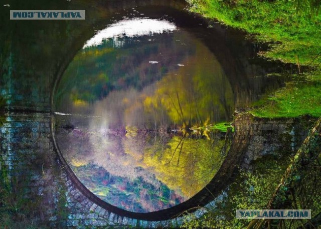 20 важных кадров за август