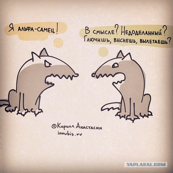 Разведёнка? Вердикт: ВИНОВНА!