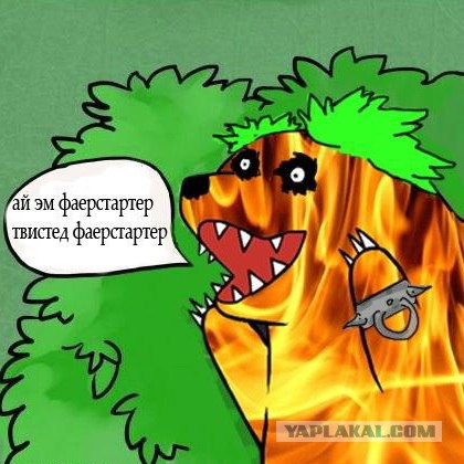 Фристайла ракамакафо