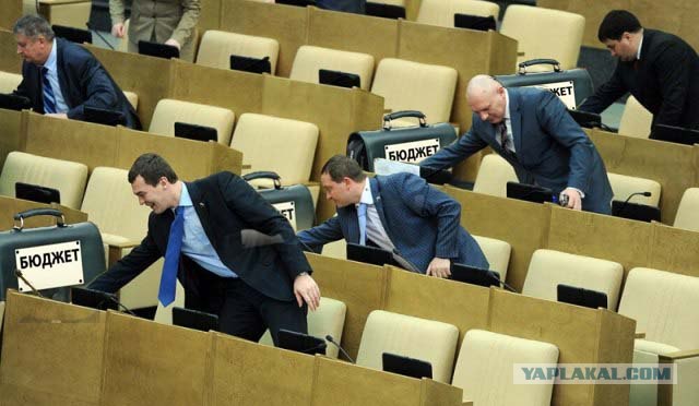 Кнопкодавы