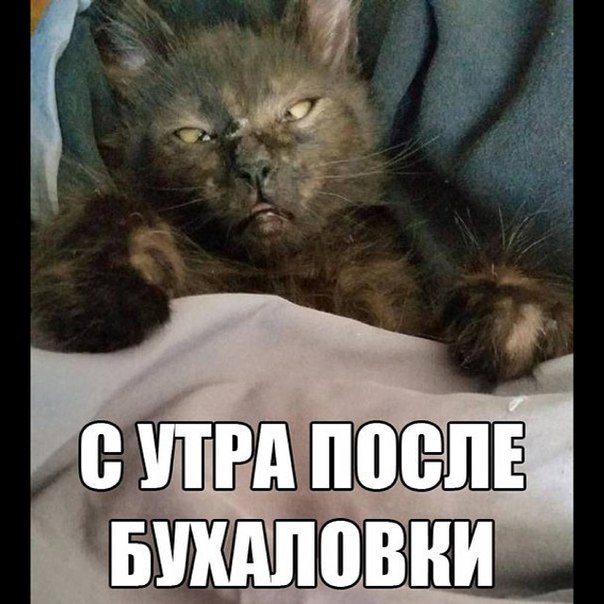 Картинки на пятницу